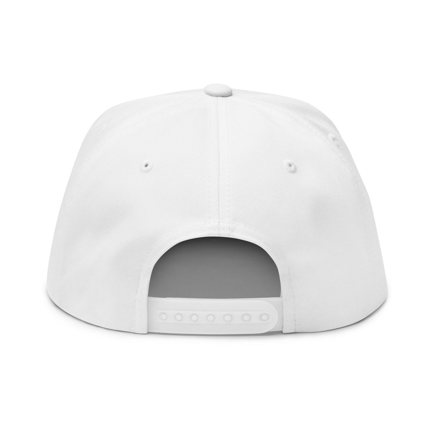 Italia Embroidered Flat Bill Cap – Italian Flag Snapback Hat