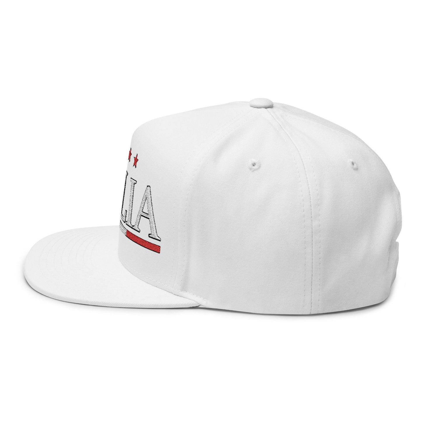Italia Embroidered Flat Bill Cap – Italian Flag Snapback Hat